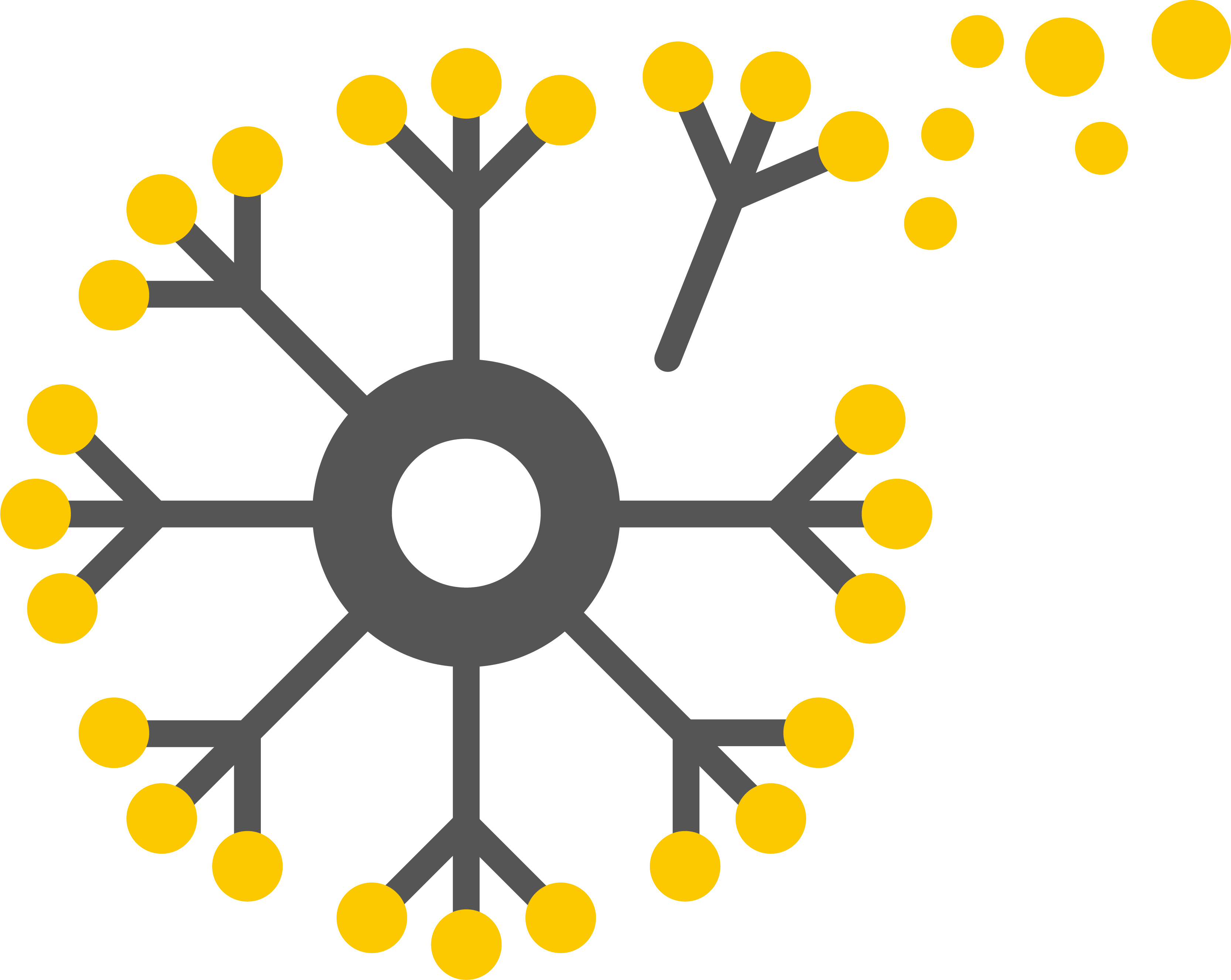 Insights' Early Adopter Program